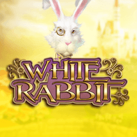 White Rabbit screenshot